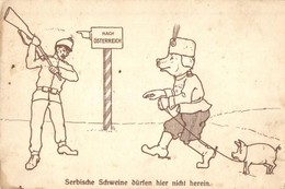 * T2/T3 Serbische Schweine Dürfen Hier Nicht Herein / 'Serbian Pigs Are Not Allowed Here' WWI Austro-Hungarian K.u.K. Mi - Non Classificati