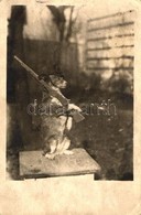 * T3 Dog With Gun, Humour, Photo (EK) - Unclassified