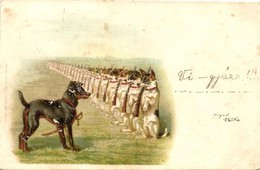 T2/T3 1899 Dog Army, Guns, Litho (fl) - Unclassified