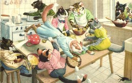 T2/T3 Cats Making A Mess In The Kitchen While Baking. Alfred Mainzer ALMA No. 4676. Max Künzli (gluemark) - Non Classificati