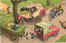 T2/T3 Cats In The Automobile Crash With Tree, Truck Trailer, Motorbike, Cow. Alfred Mainzer ALMA No. 4749. Max Künzli (g - Sin Clasificación