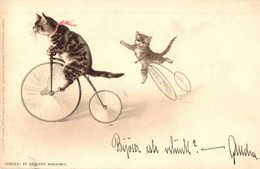 T2/T3 1899 Cats On Bicycles. Meissner & Buch Postkarten Serie 1042. Katz U. Hund In Frohem Bund. Litho (EK) - Non Classificati