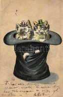 T2/T3 Cats In A Hat. P. F. Serie Mieze. 411. (EK) - Sin Clasificación