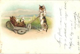 T4 Cats Play With Wheelbarrow. No. 5822. Litho (apró Lyuk / Tiny Hole) - Non Classés