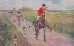 ** T1 Hunting, Collecting Hounds After Check, Raphael Tuck & Sons Oilette De Luxe Postcard No. 3596. - Non Classés