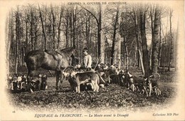 ** T1/T2 Equipage Du Francport, La Meute Avant Le Decouple / Hunters, Hunting Dogs - Non Classificati