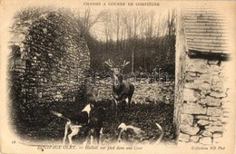 ** T2 Equipage Olry, Hallali Sur Pied Dans Une Cour / Hunting Dogs, Deer - Non Classificati