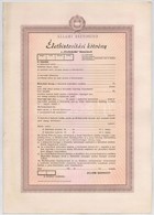 ~1970. 'Állami Biztosító - Életbiztosítási Kötvény A Gondoskodás Biztosításról' Kitöltetlen T:I- - Sin Clasificación