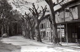 CPSM CANET D'AUDE La Promenade. - Axat