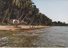 Afrique - IMAGES DU  GABON - PLAGE LA BLONDINE PRES DU CAP ESTÉRIAS - Gabon