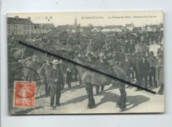 CPA - Baugy  -(Cher)  -Le Champ De Foire - Examen D'un Cheval - Baugy