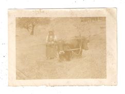 Photo Originale Agriculture Attelage  Grèce Macédoine : Battage Du Grain Femme Attelage De Boeufs Dans Un Champ 1918 - Cultures