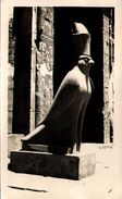 EDFU - The Sacred Hawk - Edfou