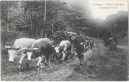 VALLEE DU BLAN RUPT (88) Transport Du Bois Attelage De Boeufs - Autres & Non Classés