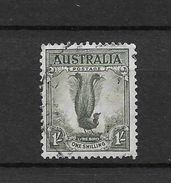 LOTE 1527 /// (C006) AUSTRALIA - Used Stamps