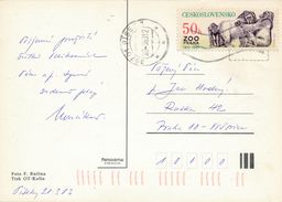 M0731 - Czechoslovakia (1983) 397 01 Pisek 1 (postcard: Easter); Tariff: 50h (stamp: ZOO Praha 1931-1981 - Gorillas) - Gorilla's