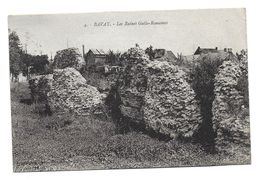 BAVAY - Les Ruines Gallo Romaines - Bavay