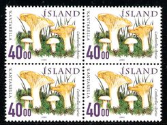 Iceland Island 2000 Mushrooms, Fungus, Cantharellus Cibarius, Chanterelle, Mi 943 In Bloc Of Four, MNH(**) - Ungebraucht