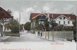 AESCHI → Dorfstrasse Mit Hotel Blümlisalp, Ca.1900   ►RRR◄ - Aeschi Bei Spiez