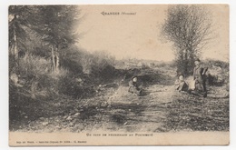 88 VOSGES - GRANGES Un Coin De Promenade Au Pinchesté - Granges Sur Vologne