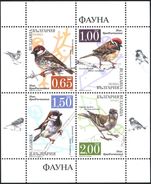 Mint  S/S Fauna Birds Sparrows 2017 From Bulgaria - Moineaux