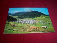 AUTRICHE / OSTERREICH  / THEME LES VACHES ° NAUDERS 1365m  TIROL LE 5 09 1979 - Nauders