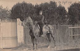 ¤¤  -   Carte-Photo Militaire  -  Cavalier Sur Son Cheval  -  32 Sur Son Képi   -  ¤¤ - Manoeuvres