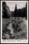 A9888 - Motivkarte - Tambach Dietharz Im Mittelwasser Grund- Foto Bader - Tambach-Dietharz