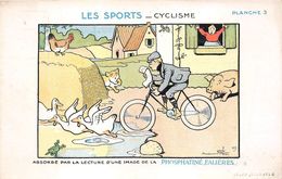 ¤¤   -   ILLUSTRATEUR  " Benjamin RABIER "  -  Les Sports  -  Cyclisme  - Vélo , Cochon  -  Carte Publicitaire   -  ¤¤ - Rabier, B.