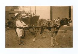 Enfant Et Charette à Chien, Chien Attelé, 1910, éd. Nels, Bruxelles, Série Laitière N° 33, Bidons De Lait - Old Professions