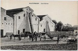 CPA Algérie Saint Cyprien Les Caves Non Circulé Attelage - Altri & Non Classificati