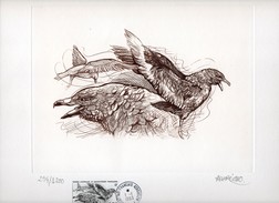 Lithographie  SKUA   Signée) ANDREOTTO  TIRAGE 1200 RARE - Imperforates, Proofs & Errors