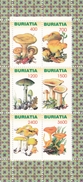Feuillet Neuf** TTB De 6 Timbres De Buriatie Champignon Mushroom Champignons Setas Pilze - Mushrooms