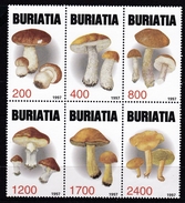 Feuillet Neuf** De 6 Timbres De Buriatie Champignon Champignons Mushroom Setas Pilze - Mushrooms