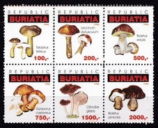 Feuillet Neuf** De 6 Timbres De Buriatie Champignon Champignons Mushroom Setas Pilze - Mushrooms