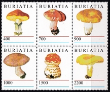 Feuillet Neuf** De 6 Timbres De Buriatie - Mushrooms