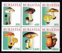 Feuillet Neuf** De 6 Timbres De Buriatie Champignon Champignons Mushroom Setas Pilze - Mushrooms