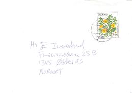 Iceland 1984 Flower Silverweed Cinquefoil, Potentilla Anserina, Mi 613 On Cover - Cartas & Documentos