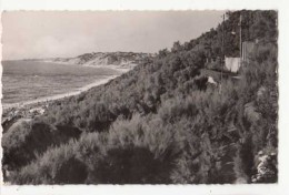 Delcampe - France 64 - Guethary 6 La Plage Et Les Tamaris  -  Achat Immédiat - Guethary