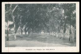 PARÁ - BELEM - Passeio Da Praça Da Republica.  Carte Postale - Belém