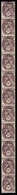 1840 N° 46 10c Blanc Préoblitéré Bande Verticale De 11 Timbres Qualité:** Cote:1025  - Francobolli In Bobina
