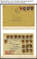 SAMMLUNGEN, LOTS *,**,o,Brief , Umfangreiche Sammlung Französische Zone Von 1945-49 Im SAFE Album Mit Verschiedenen Papi - Autres & Non Classés