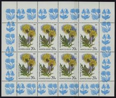 SOWJETUNION 5572,5577KB **, 1986, Olympische Spiele Der Neuzeit Und Geschütze Pflanzen Der Russischen Steppe, 2 Kleinbog - Used Stamps