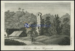 HAGENRODE Bei Alexis-Bad (Selkenbrunnen/Harz): Kloster-Ruine Am Wegesrand, Kupferstich Von F. Rosmäsler Jun. Von 1820 - Lithographies