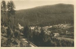 Höhenluftkurort St. Blasien Vom Philosophenweg 1931 (002463) - St. Blasien