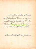 CHEVALIER DE THEUX DE MONTJARDIN CHARLES COMTESSE ALIX DE LIEDEKERKE DE PAILHE CHATEAU DE MONTJARDIN 1891 - Mariage