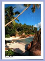 Carte Moderne Grande Taille - 11,5x15,5cm - Seychelles (Photo Jurien) - Anse Patate - La Digue - Seychellen