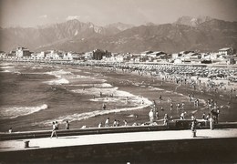 Viareggio - REAL PHOTO (12,0 X 17,0 Cm) - Panorama - Spiaggia - Lucca - Italia - Viareggio