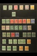 1891-1937 VERY FINE MINT COLLECTION Neatly Presented On Stock Pages. Includes 1891 QV Range To 24c, 1904-07 1c, 1913-21  - British Honduras (...-1970)