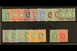1905-11 Set, SG 45/59, Plus Additional Chalky Paper Values, Fresh Mint. (18) For More Images, Please Visit Http://www.sa - Somaliland (Herrschaft ...-1959)